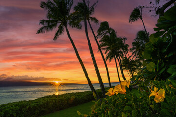 Sunset in Hawaii with yellow flowers