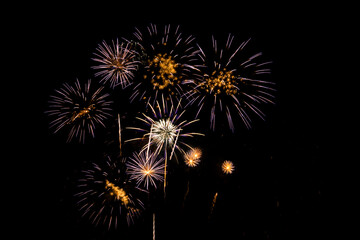 Colorful Fireworks Celebration, New Year Celebration Fireworks And The Black Sky Background.