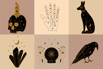 Set of Mystical and Witch Illustrations in Vector