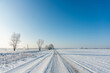 © maxandrew - Snow covered winter field with trees and road going through to the horizon. Winter landscape. Beautiful winter nature.