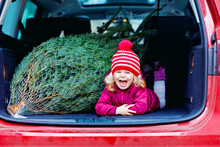 Adorable Little Toddler Girl With Christmas Tree Inside Of Family Car. Happy Healthy Baby Child In Winter Fashion Clothes Choosing And Buying Big Xmas Tree For Traditional Celebration.