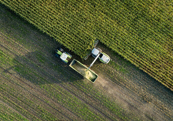Wall Mural - Ackerbau - Luftaufnahme von der Silomaisernte auf dem Feld, landwirtschaftliches Symbolfoto.