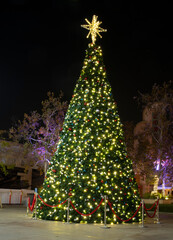 Lonely Christmas tree at a mall. 