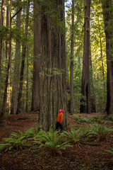 Canvas Print - adventure on lost coast 