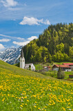 Fototapeta Góry - Tiefenbach im Frühjahr