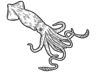 Colossal squid. Engraving raster illustration. Sketch scratch