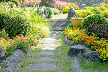 Wall Mural - blooming flower plant in garden park