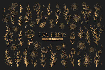Collection of vector floral elements with gold hand drawn flowers, leaves branches and herbs isolated on black background. Vintage botanical illustration for print, fabric, wallpaper, card