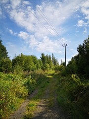 Wall Mural - railway in the countryside