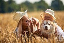 Cute Baby Girl With Mom And Dog On Wheat Field. Happy Young Family Enjoy Time Together At The Nature. Mom, Little Baby Girl And Dog Husky Resting Outdoors. Togetherness, Love, Happiness Concept.