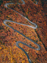 Wall Mural - Curved asphalt road through the colourful forest, aerial view road going through forest with autumn foliage