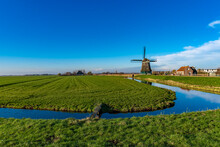 Greenfield Around The Windmill In Volendam