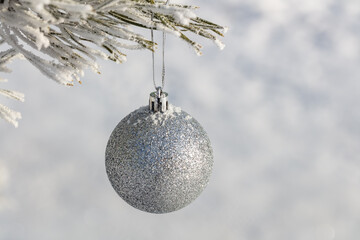 Wall Mural - Close up shot of a single white glittering Christmas ball decoration hanging off a Christmas tree outside, partially covered in snow. Tree is also covered with snow. Winter holiday decoration concept