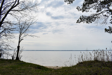 summer coast of the Volga River