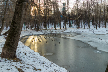 Sticker - river in winter