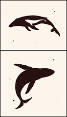 Wall Mural - Whales family silhouette. Abstract animal shape set. Night starry sky