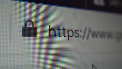 close-up view on lcd monitor. user is entering web site address in broswer. https protocol, security