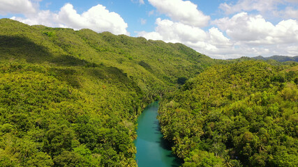 River in the rainforest in a mountain canyon. Loboc River in the green jungle. Bohol, Philippines.