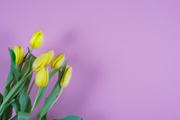 Canvas Print - Tulips flowers on a background