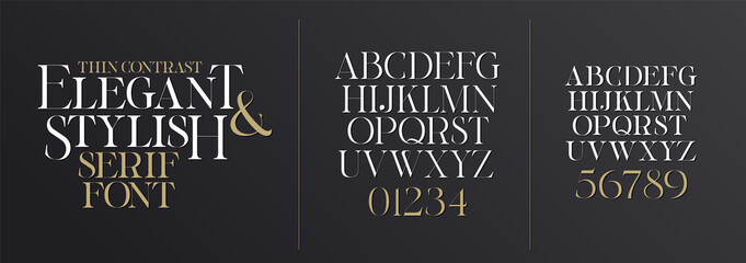 vector font illustration. Stylish elegant thin vector composite font serif. set of letters English alphabet. uppercase letters, lowercase letters and numbers