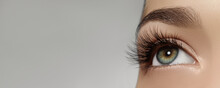Beautiful Female Eye With Extreme Long Eyelashes, Black Liner Makeup. Perfect Make-up, Long Lashes. Closeup Fashion Eyes