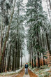 © Eva - Solo backpacker walking in frozen snowy forest.Winter panorama landscape with trees covered with snow, fog.Picturesque and gorgeous winter scene.Cold winter walk in nature.Active hiker.Man in woods.