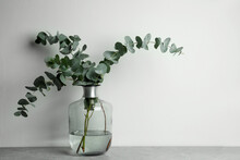 Beautiful Eucalyptus Branches In Glass Vase On Grey Table Against White Background. Space For Text