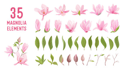 Poster - Magnolia flower, blossom, leaves, bouquet vector set. Template design pastel floral elements for wedding