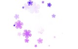 Fototapeta Motyle - Light Purple, Pink vector abstract background with flowers.