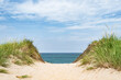 Sand dunes framing view of ocean on the National Seashore in Provincetown, Cape Cod, massachusetts