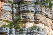 Layered cliff face in the canyon, close up view.