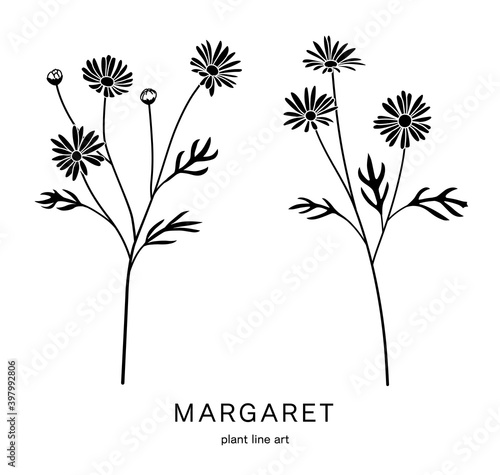 花のイラストセット マーガレットのシルエット Vector De Stock Adobe Stock 花のイラストセット マーガレットのシルエット Vector De Stock Adobe Stock