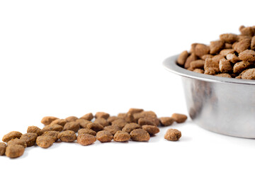 Wall Mural - A plate of dog food on a white background. Food for dogs and cats