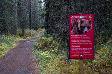 A Warning Sign Bringing Attention To Grizzly Bears Roaming The Surroundings In British Columbia, Canada.