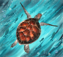 Watercolor Illustration Of A Colorful Sea Turtle Swimming In The Vivid Turquoise Sea

