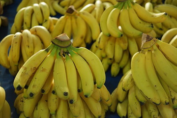 Banans bunches on the market stall. Ripe tropical fruits at food market.