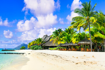 Canvas Print - Tropical relaxing holidays in one of the best beaches of Mauritius island