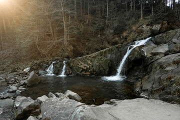 Wall Mural - small cascading waterfall among the rocks and forest. beautiful mountain landscape. copy, empty spac