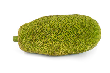 Jackfruit isolated on white background..