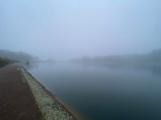 Wall Mural - fog on the river