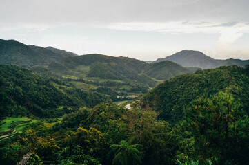 Wall Mural - a green valley with trees