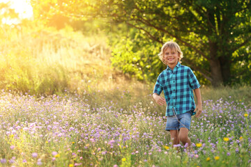 Sticker - Cute little boy outdoors, space for text. Child spending time in nature