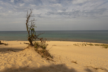 sand dunes on the beach ,lake Michigan, Indiana 