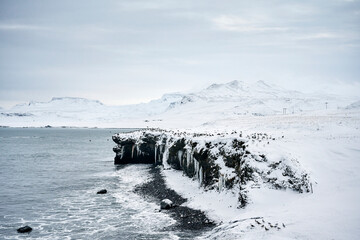 Sticker - Frozen coast near sea in winter