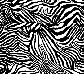  Vector animal Zebra tiger ornament. Seamless print