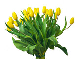 Fototapeta Tulipany - Bouquet of yellow tulips