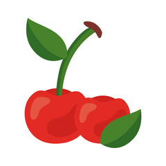 Sticker - fresh tomatoes vegetable healthy food icon