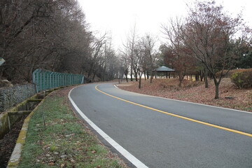 road in the countryside