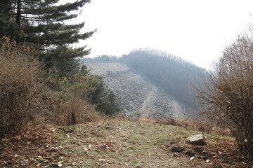 Wall Mural - morning in the mountains