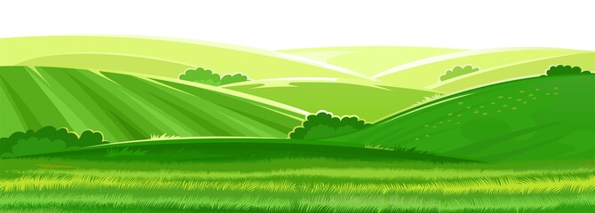 Wall Mural - rural hills. scenery. vector. pasture grass for cows and a place for a vegetable garden and farm. me